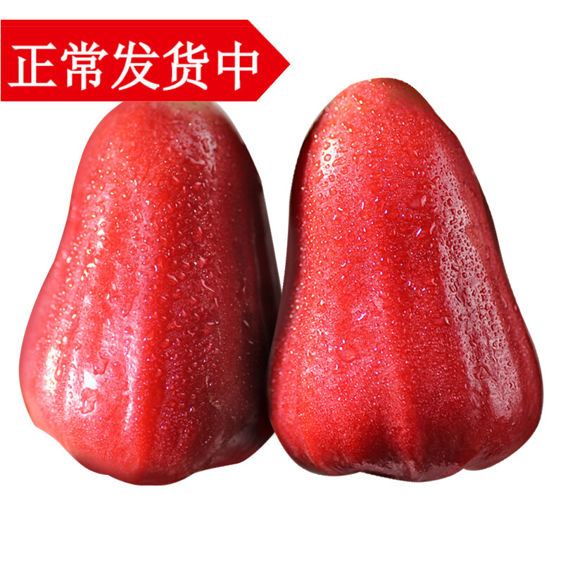 海南黑金刚莲雾果2.5kg 新鲜水果牛奶连雾顺丰 5斤