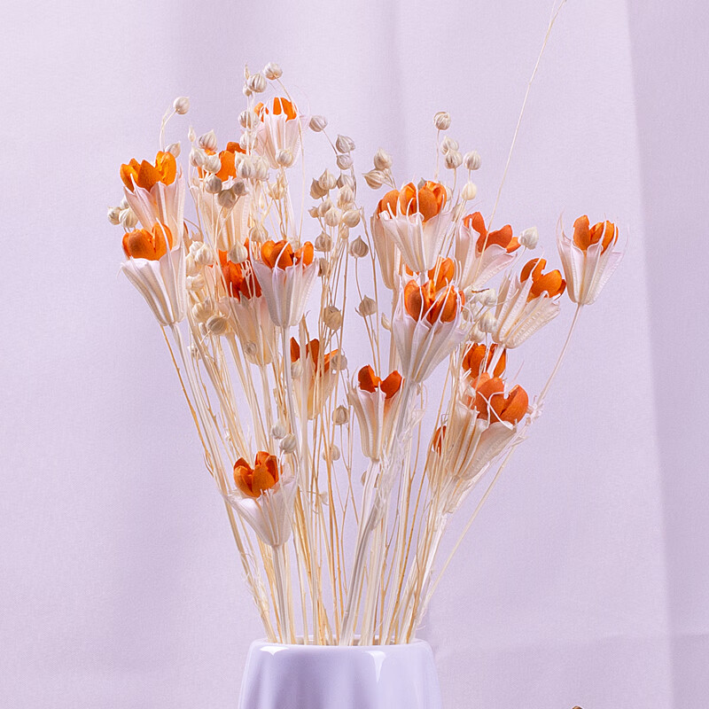 干花花束花瓶 风干天然自然真花 家居餐桌面客厅花艺装饰摆件 25朵开心果（不含花瓶）