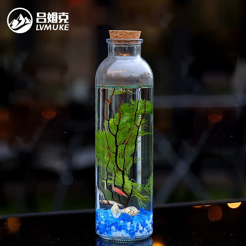 吕姆克 微景观科学生态瓶 客厅桌面水培植物盆栽造景斗鱼小鱼虾室内装饰diy礼物 圆柱蓝白砂(小鱼款)7137怎么样,好用不?