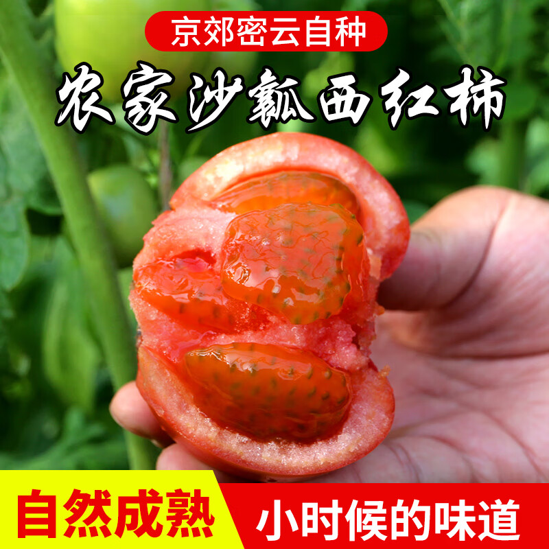 密农人家 密云农家西红柿 沙瓤番茄 普罗旺斯西红柿 健康轻食 北京蔬菜 自然成熟500g