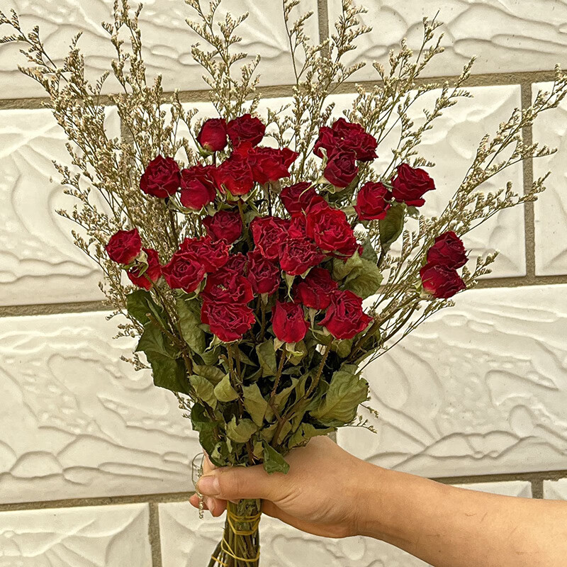 装饰摆件满天星拍照摆设多头玫瑰天然风干花真花插花 霓虹泡泡30朵