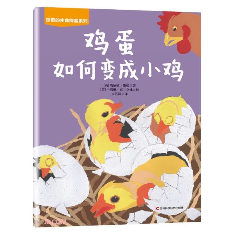 鸡蛋如何变成小鸡 