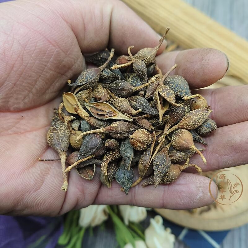 正宗山西秦岭青翘连翘500g无硫新货特级连翘茶老连翘 连翘500克