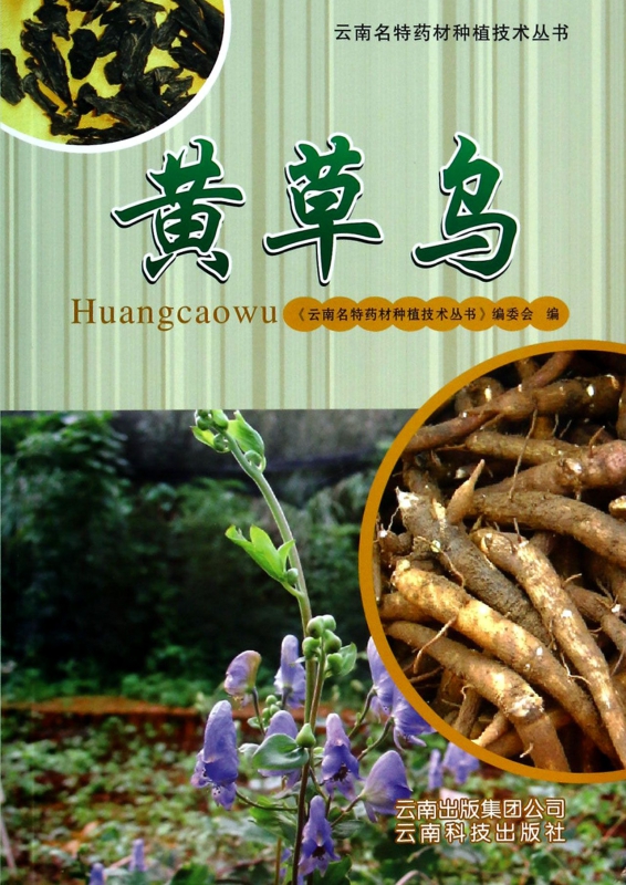 黄草乌/云南名特药材种植技术丛书