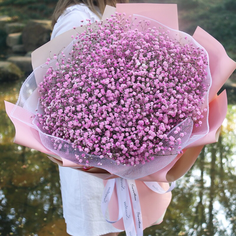 鲜花店的满天星多少钱一束(花店一束满天星的花大概多少钱)