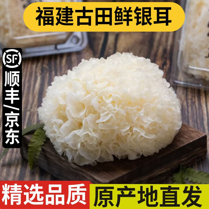 良知農(nóng)哥福建古田新鮮銀耳鮮活生白木耳出膠軟糯活鮮雪耳 新鮮銀耳3朵