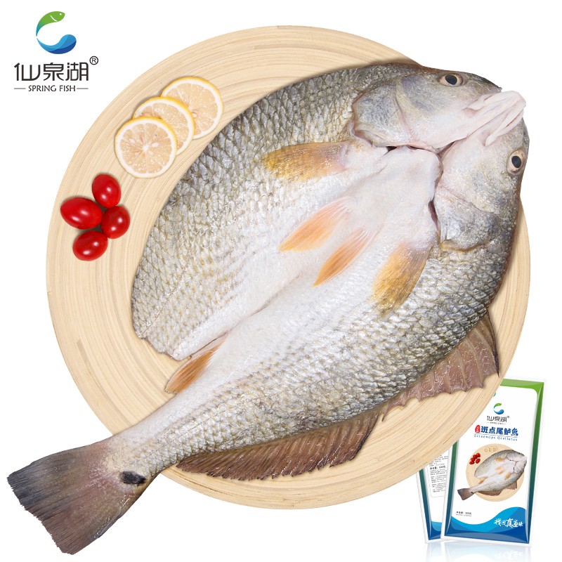 仙泉湖三去斑点尾鲈鱼 500g*1条 净膛冷冻肉厚刺少 海鲜水产食材