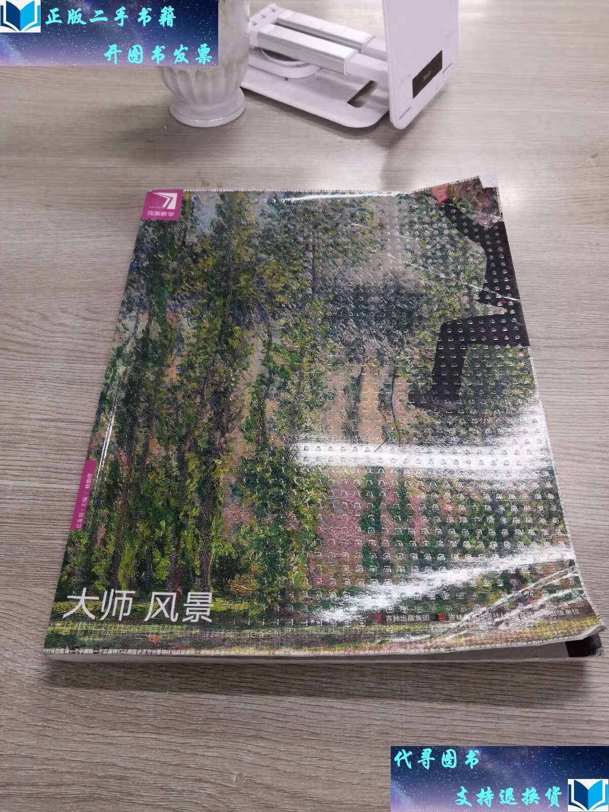 【二手书9成新】完美教学:大师风景 /杨慎修 吉林美术