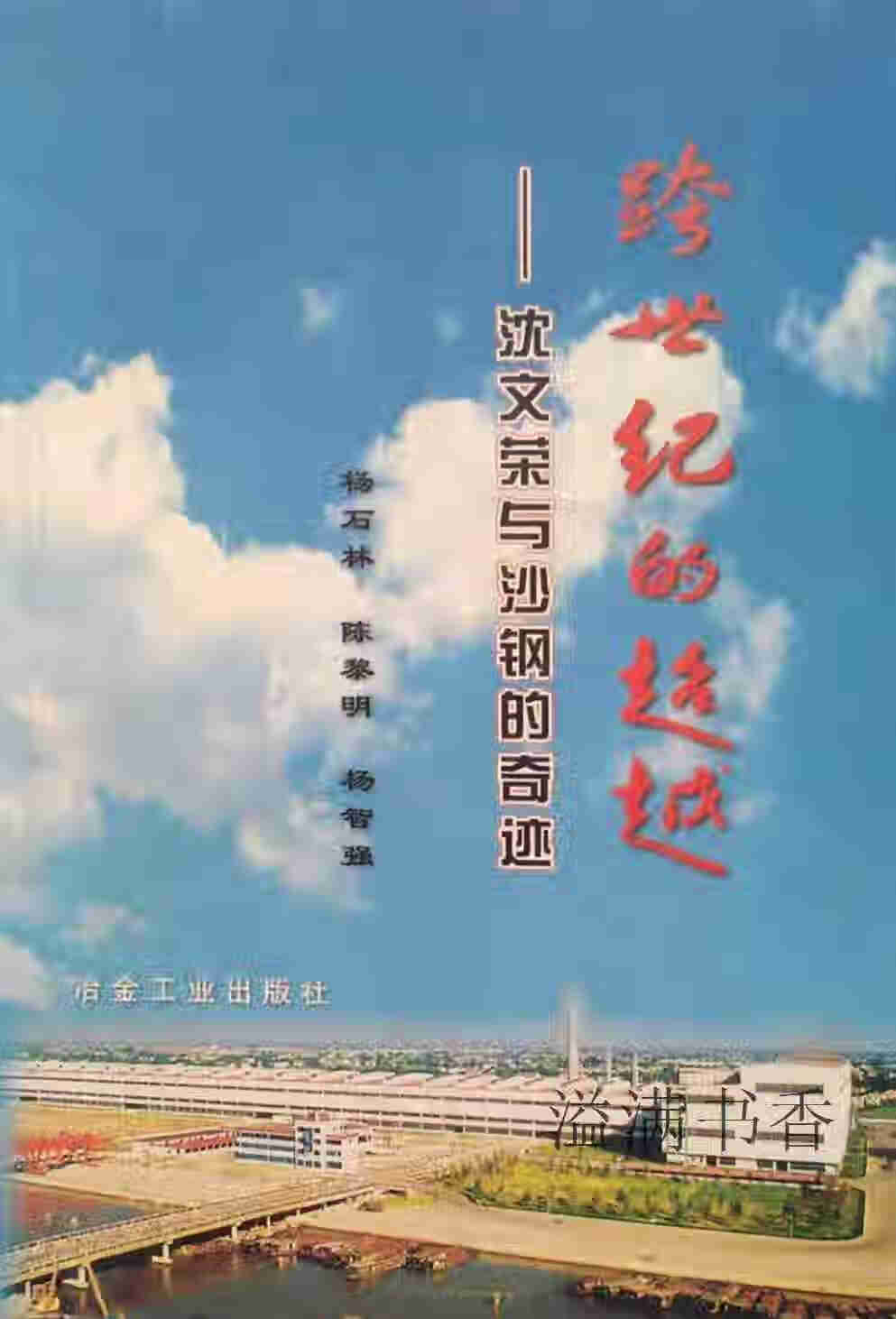 跨世纪的 沈文荣与沙钢的奇迹 杨石林等著 冶金工业出版社