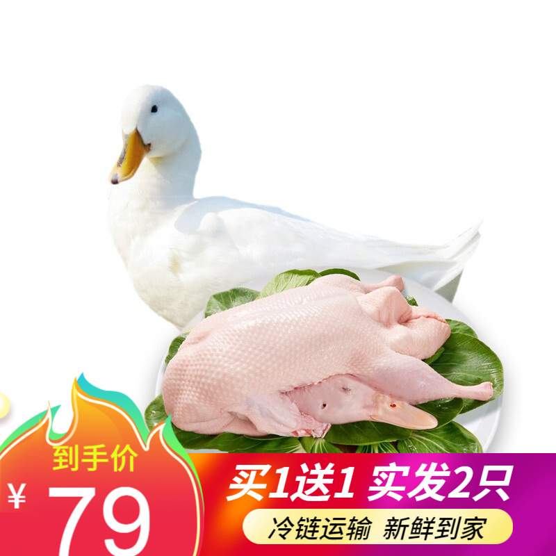 京东视频商品 2021-04-05 - 第11张 | 最新购物优惠券 京东视频商品 2021-04-05 - 第11张 | 最新购物优惠券