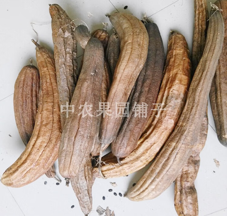 妙普乐带皮丝瓜络洗碗刷锅百洁布食用老丝瓜筋药引通络下奶丝瓜瓤中
