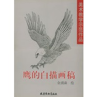 【二手99成新】鹰的白描画稿——美术教学示范作品