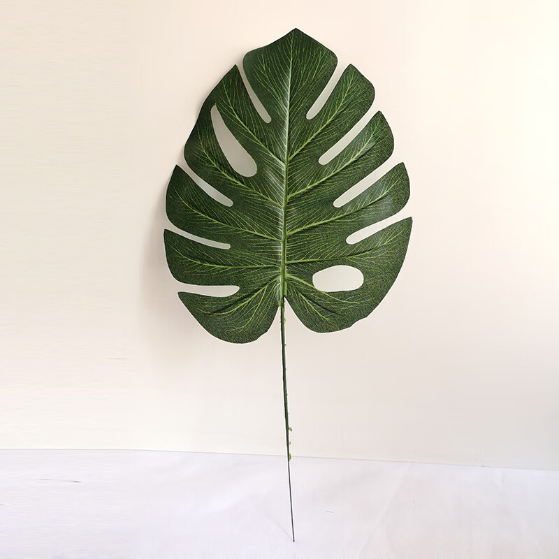 熠文 韩风ins创意北欧风树叶家居装饰仿真龟背叶大叶插花绿植植物 6片