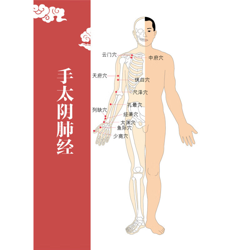 常用经络祛百病 主要讲述十二经脉,奇经八脉的循行径路,主要功能,包含
