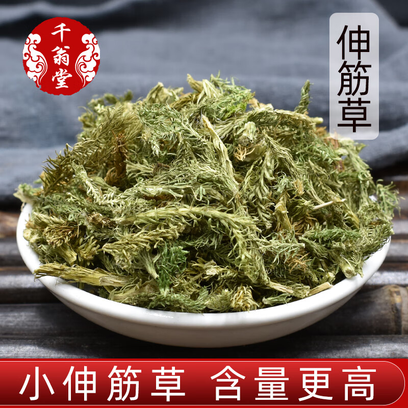 伸筋草500克中药材小伸筋草舒筋草泡脚另售透骨草远志仁