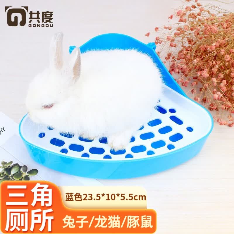 共度（Gong Du）兔子厕所用品大号便盆尿盆荷兰猪兔兔龙猫防喷尿拉屎盆脚垫笼子垫 三角厕所-蓝色（23.5*10*5.5cm）怎么样,好用不?