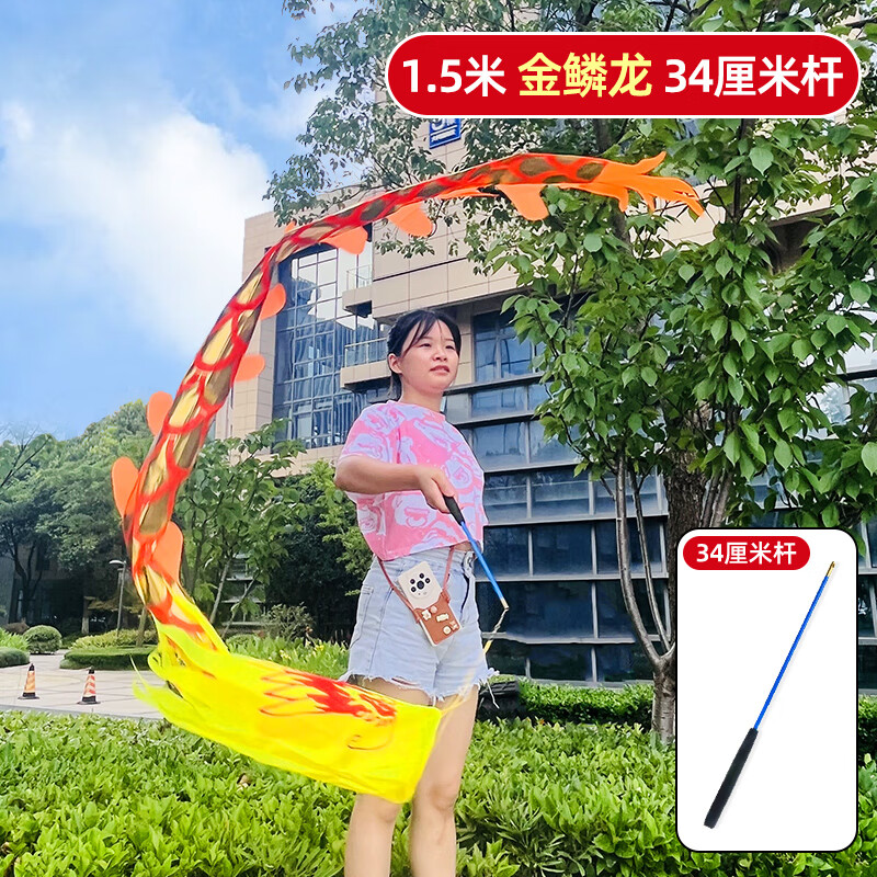 哈士顿健身龙彩带舞龙健身道具中老年耍龙甩龙广场彩带舞龙甩空竹龙