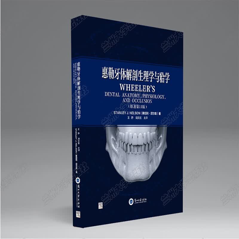 惠勒牙体解剖生理学与牙合学
