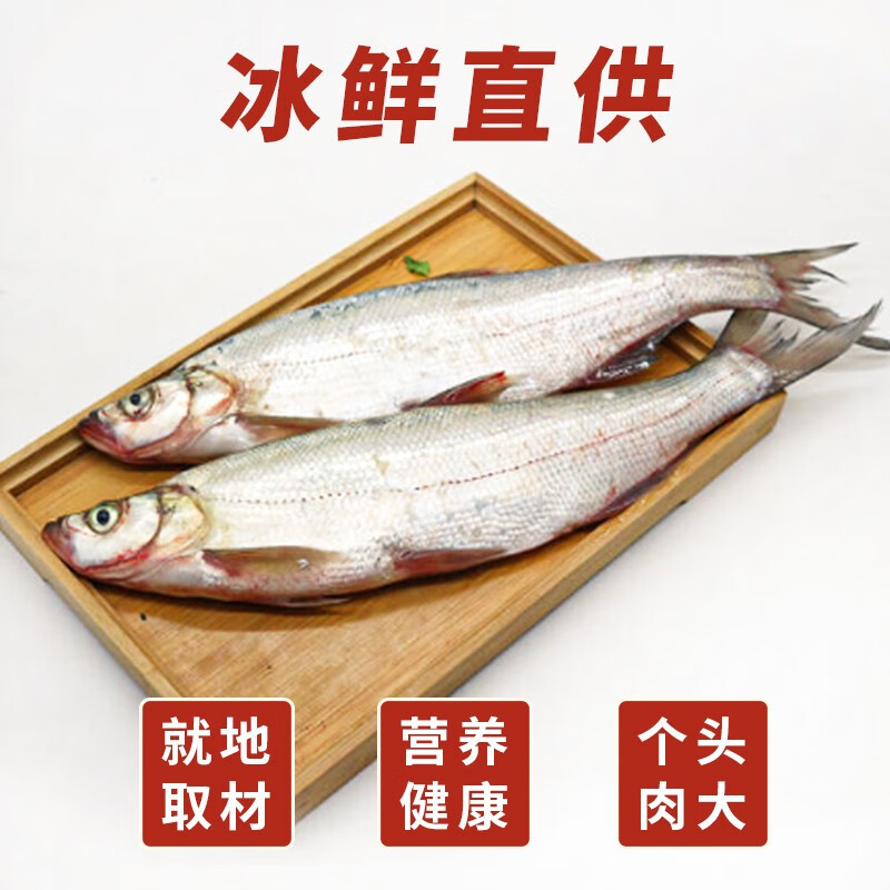 水都十堰冰鲜翘嘴鲌清蒸白鱼白丝鱼大鱼刁子鱼 5斤装(每条5斤左右) 2.