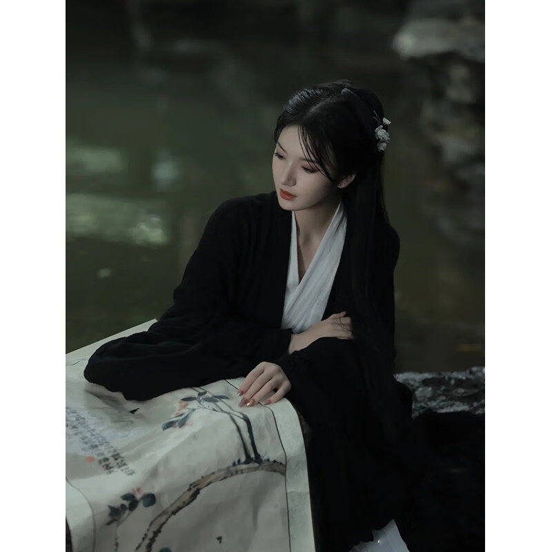 女侠风古装武侠服装汉服女魏晋制南北朝黑色侠客中国风交 黑色两件套