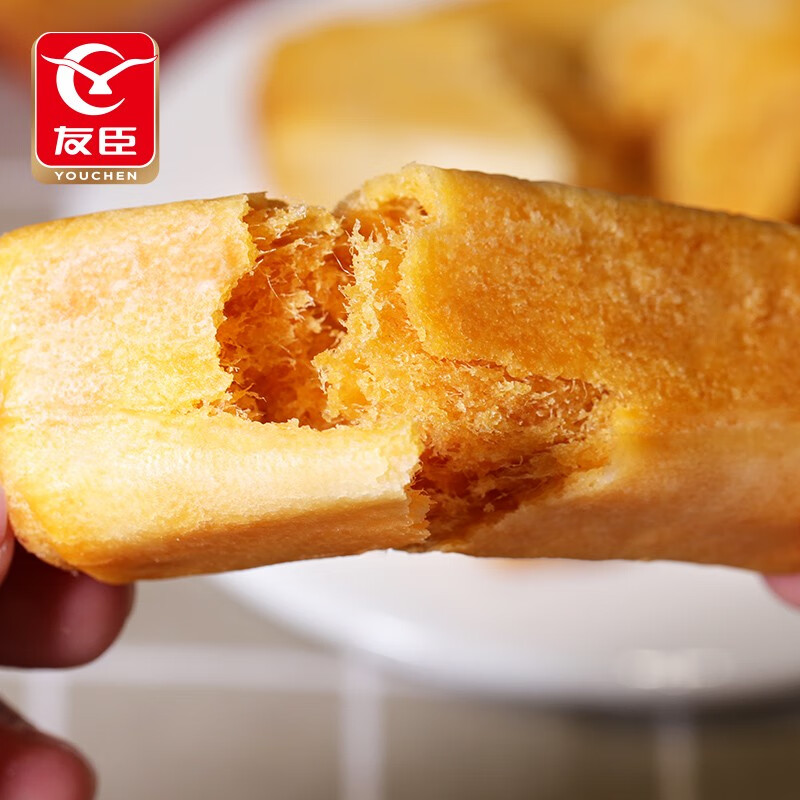 友臣（YOUCHEN）肉松棒糕点礼盒传统食品零食小吃营养早餐下午茶面包饼干 原味肉松棒500g