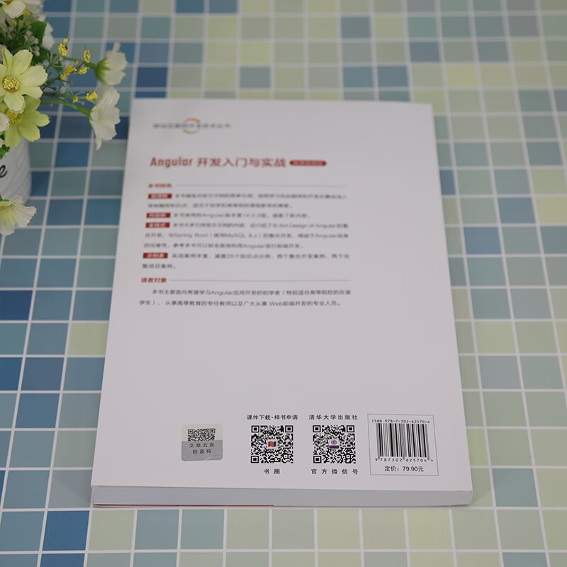 Angular开发入门与实战（微课视频版）（移动互联网开发技术丛书）详情图