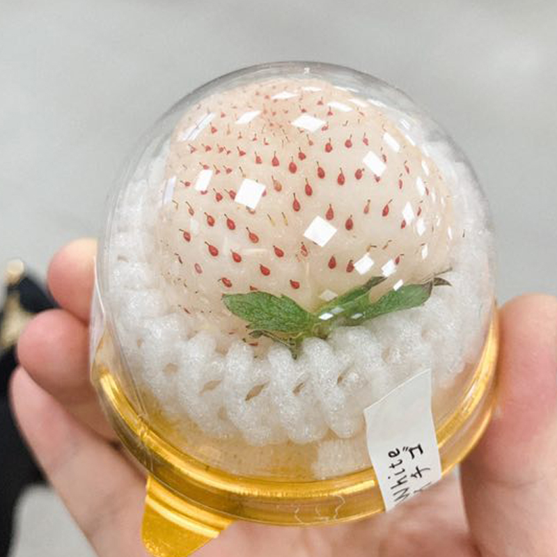 【顺丰空运】日本品种白草莓白雪公主草莓礼盒装每颗草莓单独包装新鲜清甜 四色拼装各一盒*6颗