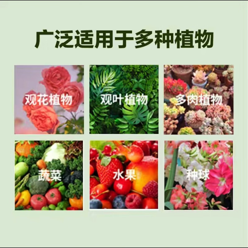 佛肚竹营养液通用型佛肚竹专用营养液花肥绿植水培植物肥料治黄叶 浓缩型营养液*4瓶*500ml
