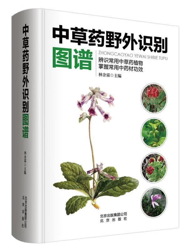中草药野外识别图谱 林余霖【正版书】