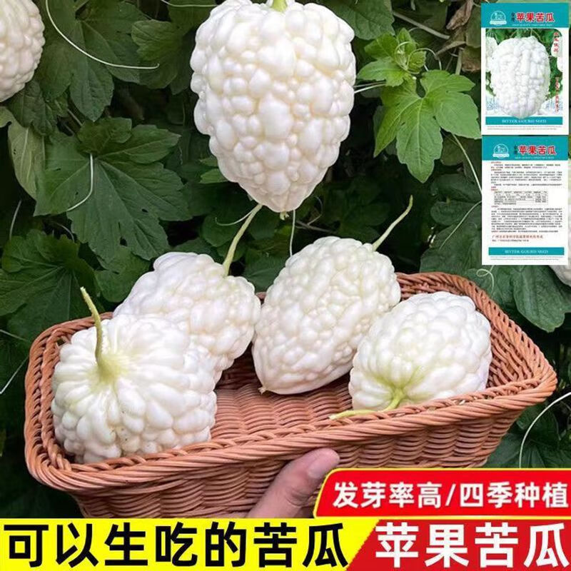 台湾苹果苦瓜种子蔬果生吃不苦甘甜水果白苦瓜种籽四季孑春夏秋播