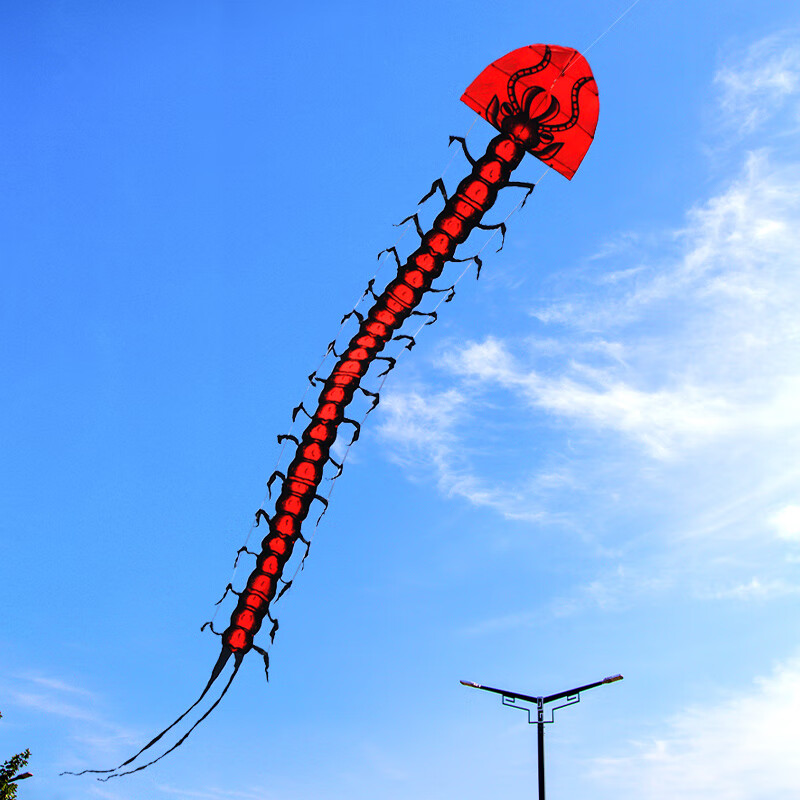 姒桀(sijie)软体风筝成人高档大型蜈蚣2024年新款新式大人专用网红
