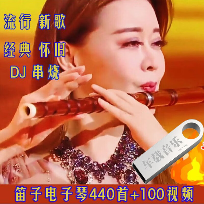 重低音DJ曲笛子电子琴架子鼓合奏轻音乐纯音乐无损音质MP3音频优盘抖音同款经典DJ歌曲汽车音乐U盘 16G 抖音低重音440首轻音乐影音U盘