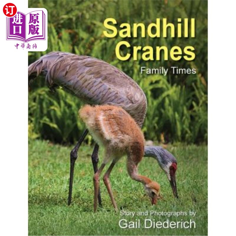 海外直订sandhill cranes, family times 沙丘鹤,家庭时代