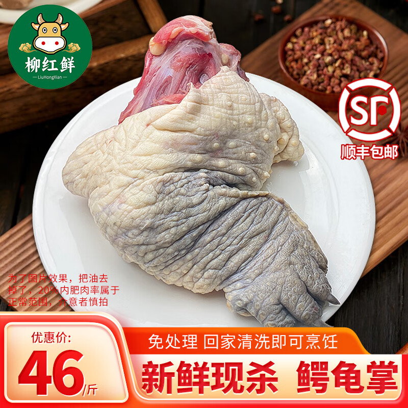 新鲜现杀鳄龟肉 可食用鳄龟掌鳄龟尾巴鳄鱼龟肉 【1斤】现杀鳄龟掌