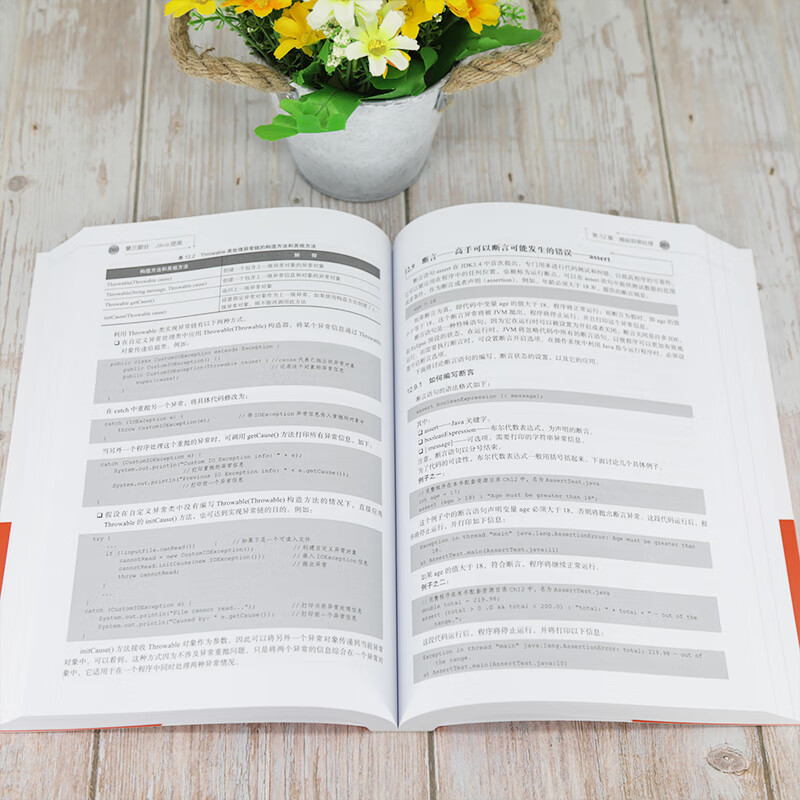 Java高手是怎样炼成的：原理、方法与实践