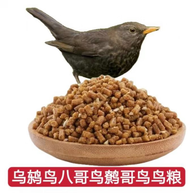乌鸫鸟食乌冬鸟饲料营养鸟粮高蛋白颗粒饲料饲料 乌鸫食
