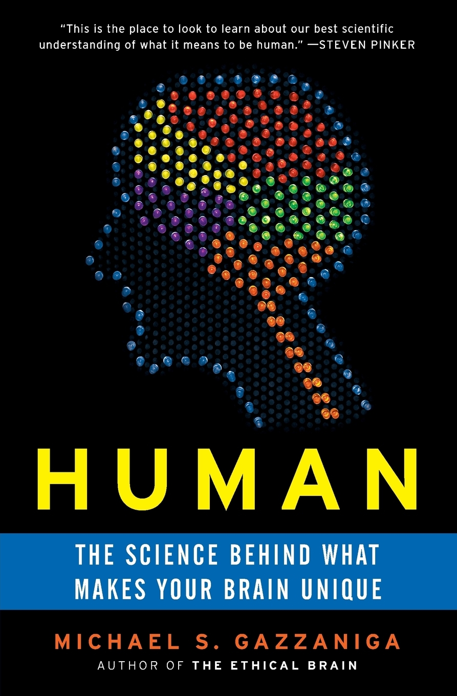 预售 按需印刷human  the science behind what makes your brain