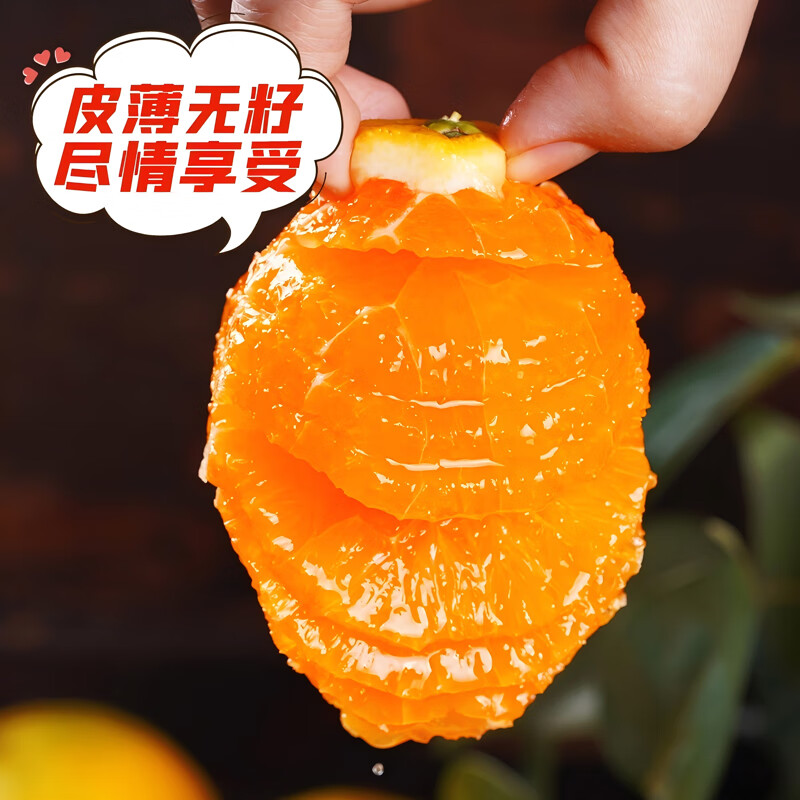 秭橙贡【京东快递】现摘现发正宗秭归九月红果冻橙子新鲜手剥当季水果 大果(70mm以上) 净重5斤|京东快递