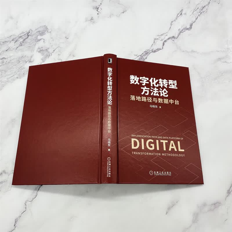 数字化转型方法论：落地路径与数据中台（国云数据官方出品）详情图