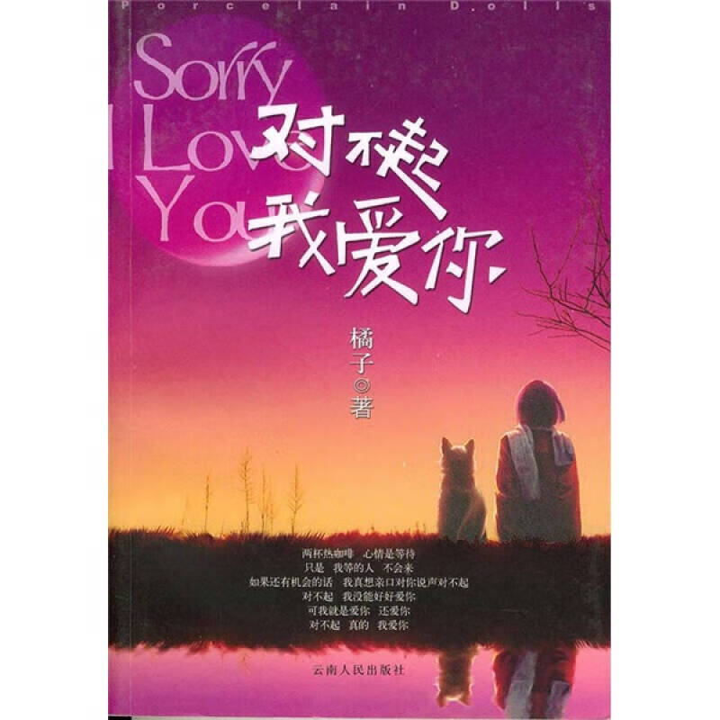 【正版现货】对不起我爱你