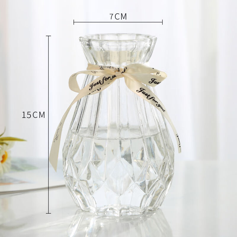 特大号高款玻璃花瓶透明水养富贵竹百合花瓶客厅插花欧式花瓶摆件 15CM钻石透明小瓶 大