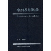 神经系统超微结构【正版图书】
