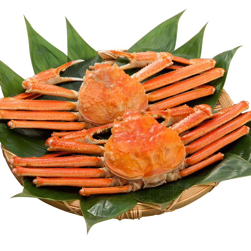 【活鲜】御鲜之王 俄罗斯鲜活板蟹 松叶蟹海鲜水产长脚蟹 大板蟹700