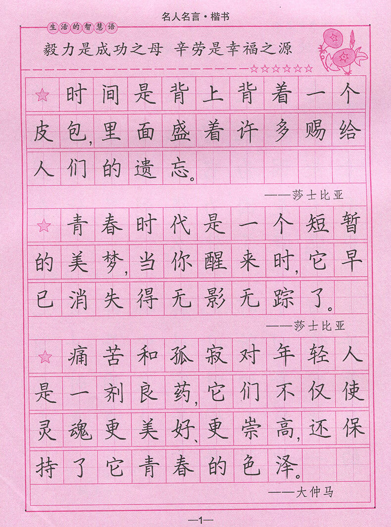 名人名言·钢笔楷书 练字临摹正楷字练字帖描字帖 钢笔楷书学生临摹