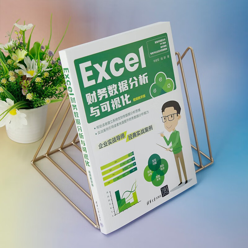 Excel财务数据分析与可视化（视频教学版）
