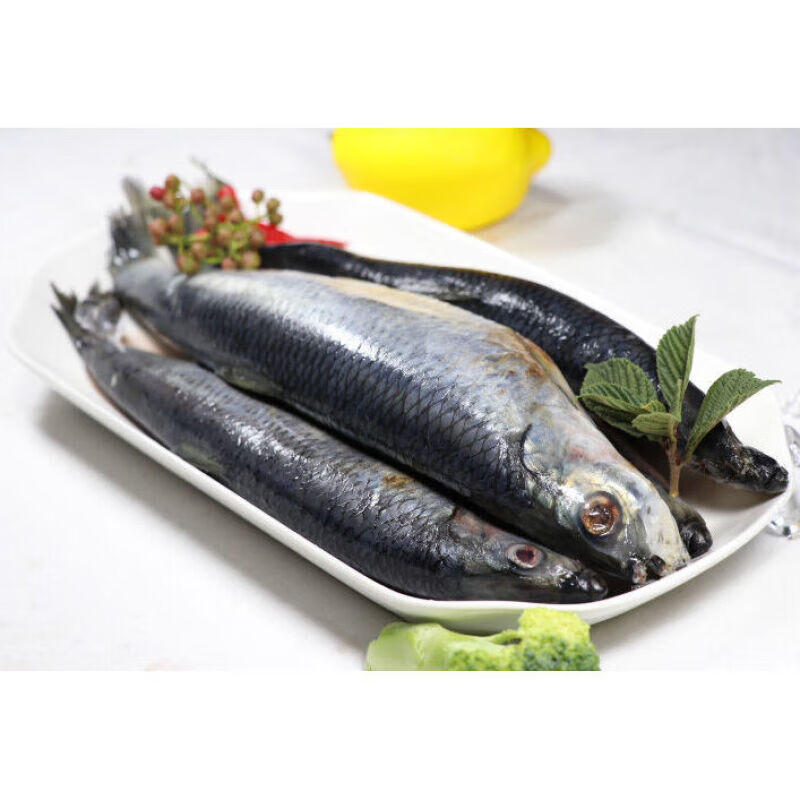 伯贤 海青鱼/条新鲜青鱼青占鱼青条鱼 海鲜水产 4斤装 【青鱼】