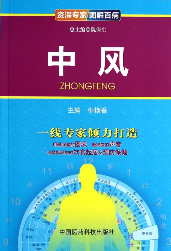 中风/资深专家图解百病