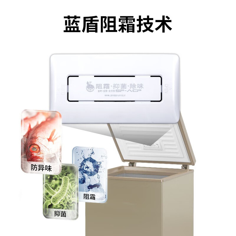 澳柯玛（AUCMA） 103升零下40度超低温冰柜 深海海鲜 电脑控温 家用商用小冷柜 BC/BD-103FNE