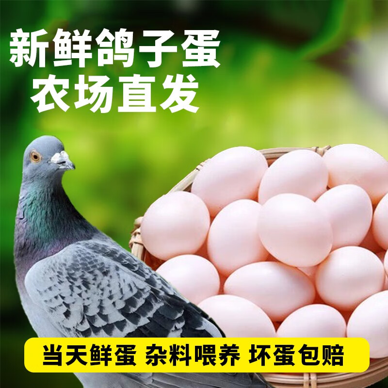 保卫蛋蛋鸽子蛋新鲜 农家散养鸽蛋宝宝营养 杂粮喂养新蛋 160g 鸽子蛋 10枚