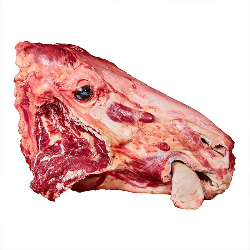 伯贤 新鲜现杀驴肉生驴头整只驴头真驴头全驴宴驴头带眼睛脸肉驴舌 一